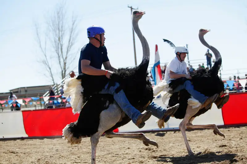 10 Unusual Sports from Around the World You Can Play Locally